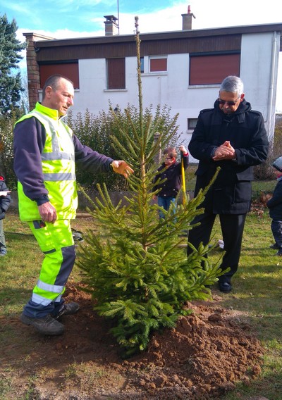 170213 plantations arbres maternelle 3