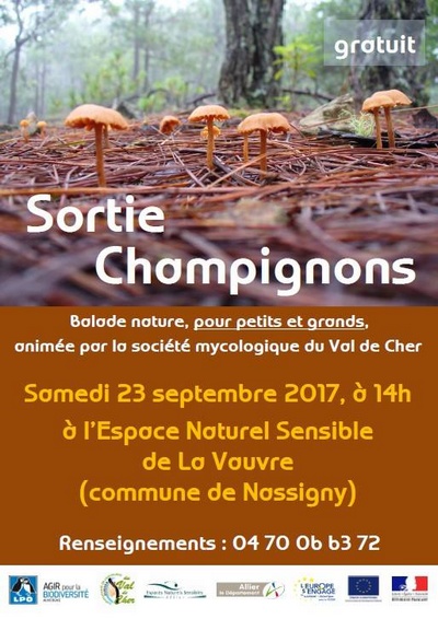 170923 sortie champignon la vauvre