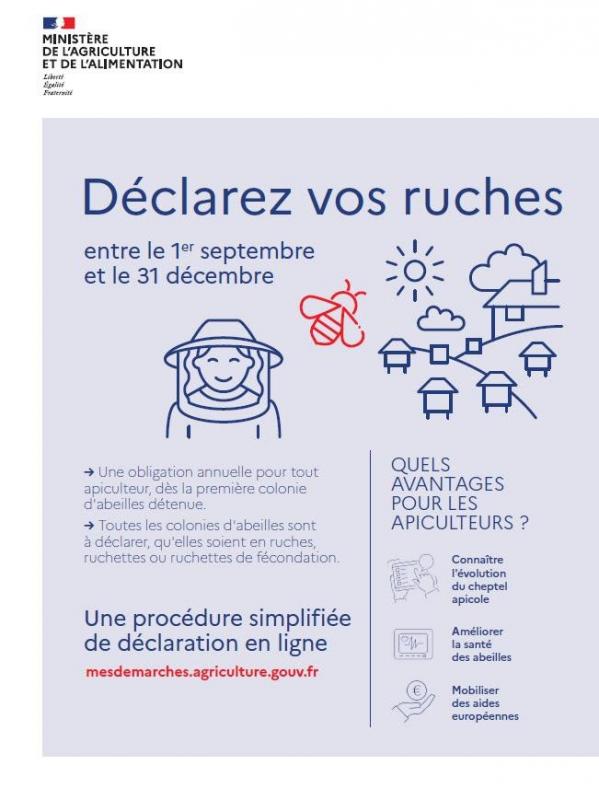 200915 declaration ruches photo