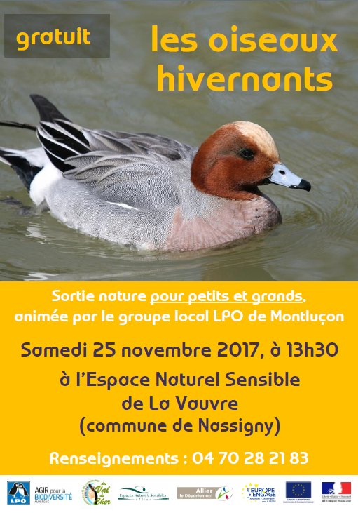 251117 affiche oiseaux hivernants