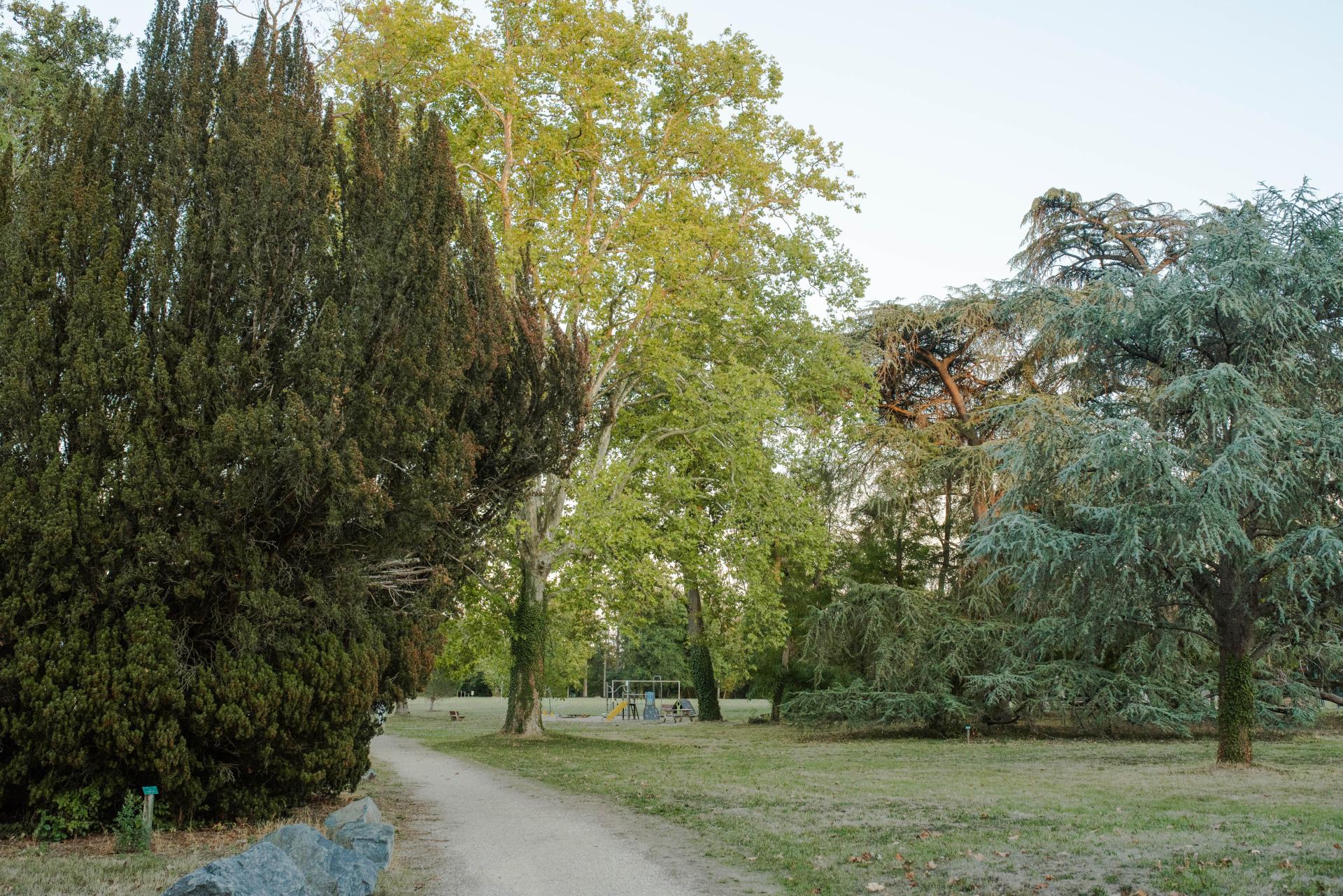 Amandinepradier2 1 4